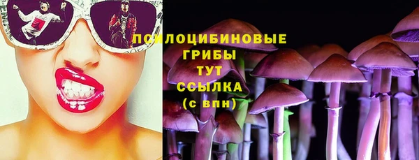 спиды Гусь-Хрустальный