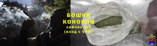 круглые Гусев