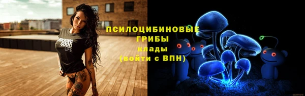 круглые Гусев