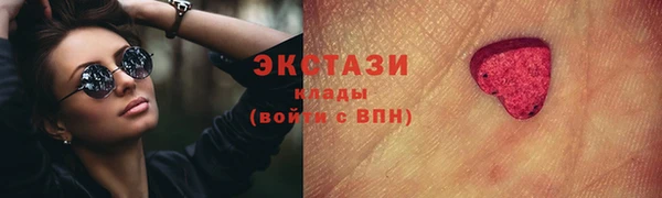 круглые Гусев