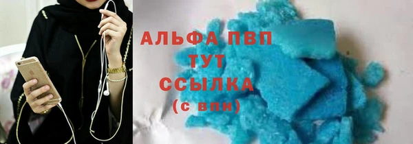 круглые Гусев