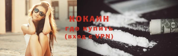 круглые Гусев