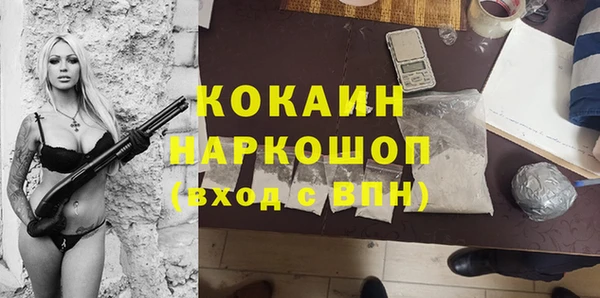 круглые Гусев