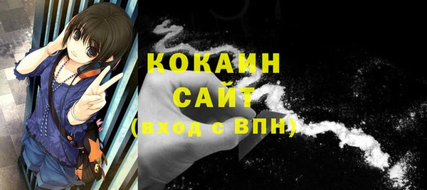 круглые Гусев