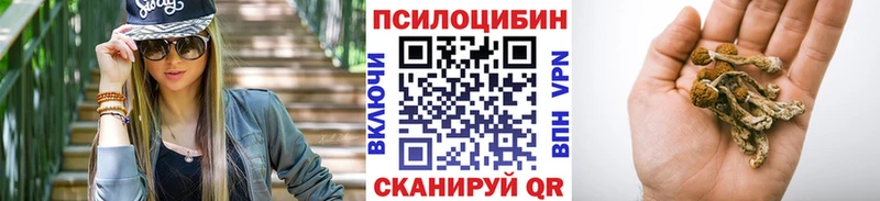Галлюциногенные грибы Psilocybe  Тюмень 